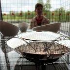 20100502gf4458